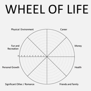 Wheel-of-Life das selbstcoaching Werkzeug